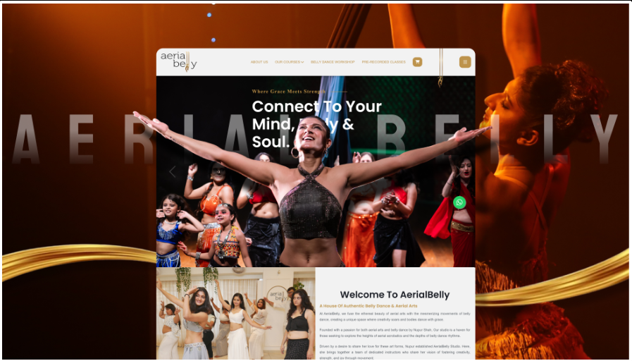 Aerial Belly Dance portfolio image